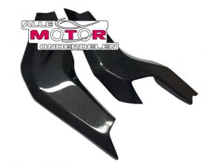 Carbon Achterbrugbeschermers Aprilia RSV 1000 2004 - 2008