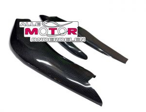 Carbon Achterbrugbeschermers Aprilia RSV 1000 1998 - 2003