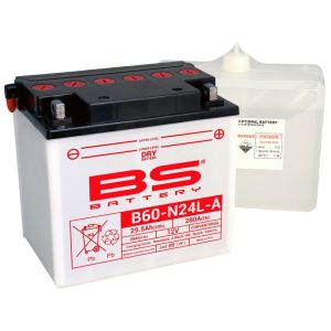 321036