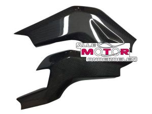 Carbon Achterbrugbeschermers Aprilia Tuono 2006 - 2011