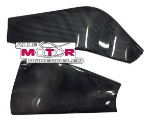 Carbon Achterbrugbeschermers Kawasaki ZX10R Ninja 2004 - 2005