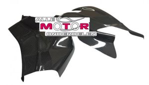 Carbon Achterbrugbeschermers BMW S1000RR 2009 - 2018