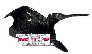 Carbon Achterbrugbeschermers Ducati Paningale 1199