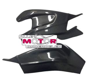 Carbon Achterbrugbeschermers BMW HP4 2012 - 2016