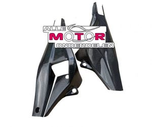 Carbon Achterbrugbeschermers BMW S1000R 2021
