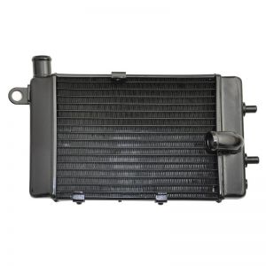 Radiateur Aprillia Tuono RSV 1000 2002 2003 2004 2005
