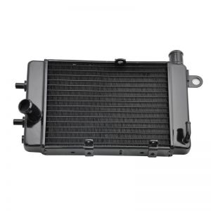 Radiateur Aprillia Tuono RSV 1000 2002 2003 2004 2005
