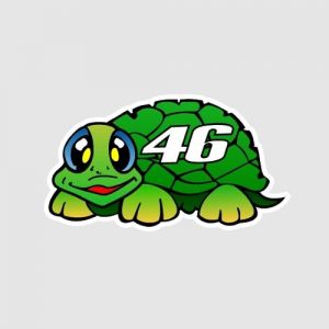 Sticker Rossi Schildpad Groot