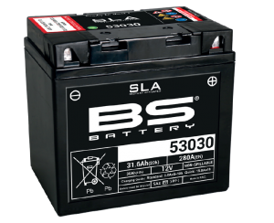 BS-Battery ﻿53030 SLA 
